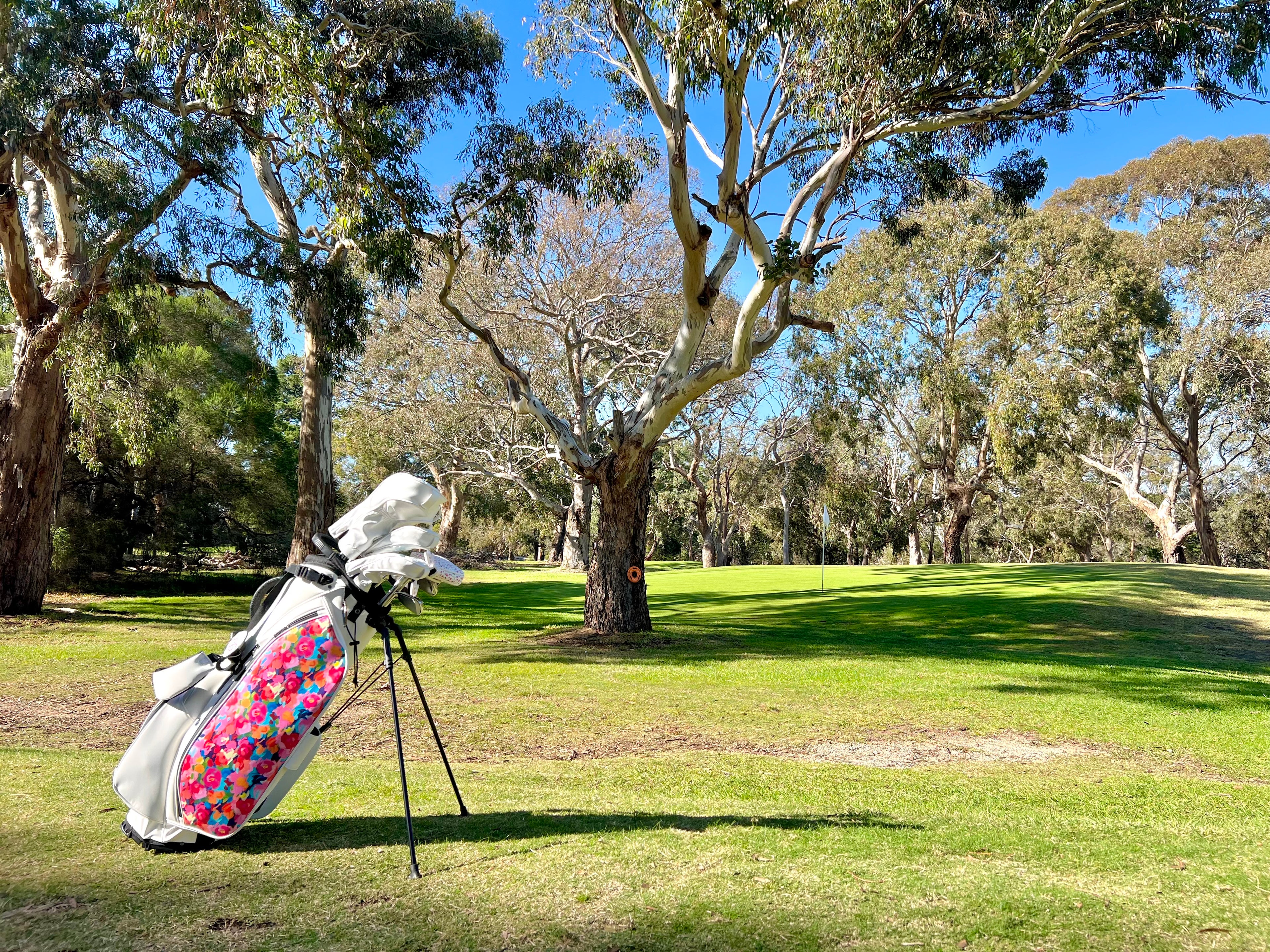 Fairway Angel Women’s Golf Stand Bag on the Golf Course