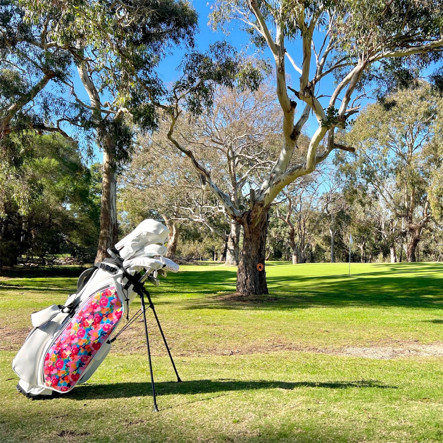 Fairway Angel Womens Golf Stand Bag 8