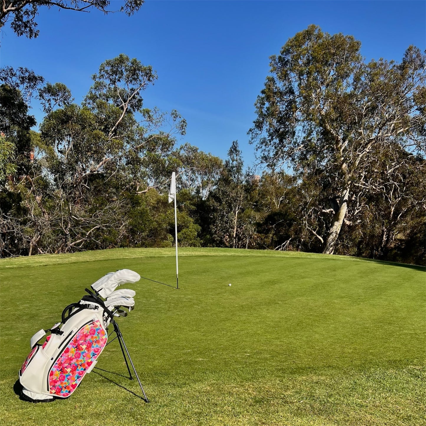 Fairway Angel Womens Golf Stand Bag 9